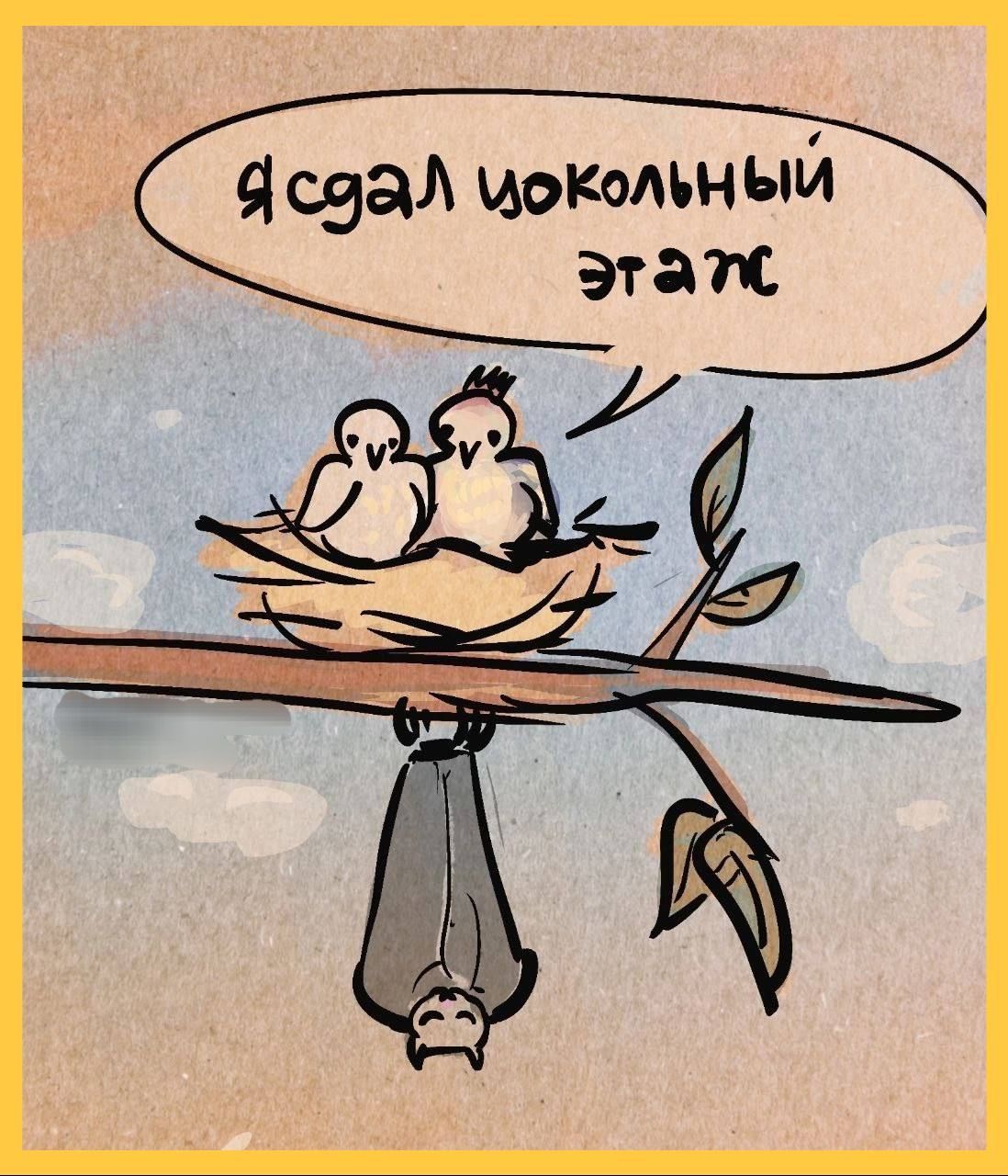 Я сдал цокольный этаж