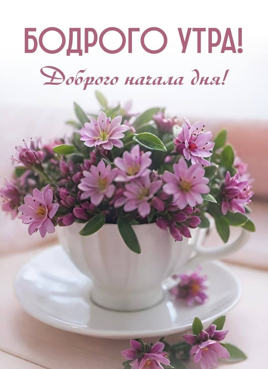 БОДРОГО УТРА! Доброего начала дня!
