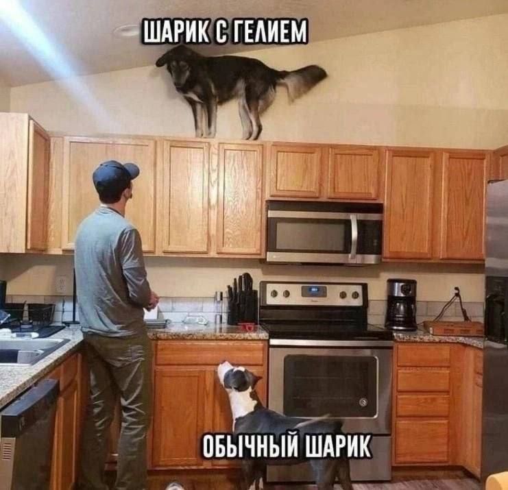 ШАРИК С ГЕЛЕМ
ОБЫЧНЫЙ ШАРИК