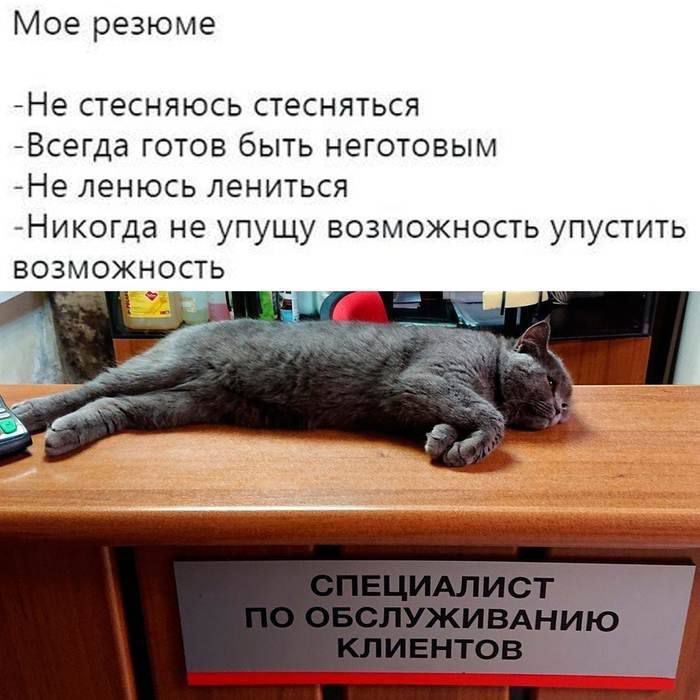 Мое резюме
-Не стесняюсь стесняться
-Всегда готов быть негotivым
-Не ленюсь лениться
-Никогда не упущу возможность упустить возможность