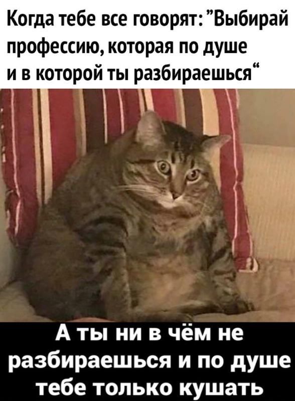 Когда тебе все говорят: 