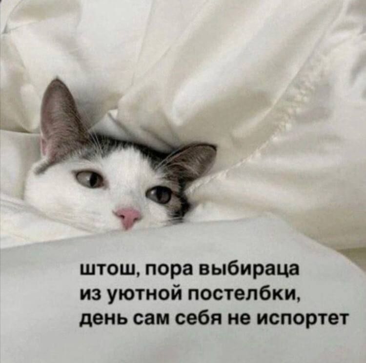 штош, пора вибираца из уютной постелбки, день сам себя не испортет