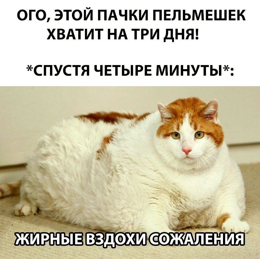 ОГО, ЭТОЙ ПАЧКИ ПЕЛЬМЕНЕШЕК ХВАТИТ НА ТРИ ДНЯ! *СПУСТЯ ЧЕТЫРЕ МИНУТЫ*: ЖИРНЫЕ ВЗДОХИ СОЖАЛЕНИЯ