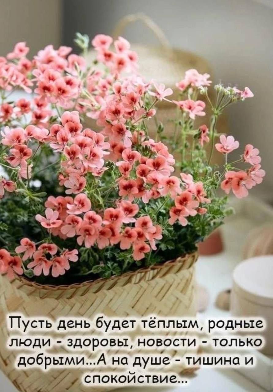 Пусть день будет тёплым, родные люди - здоровы, новости - только добрыми...А на душе - тишина и спокойствие...