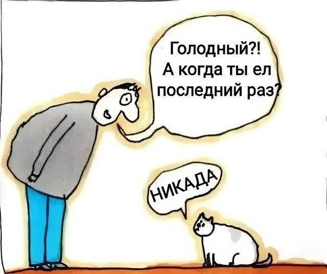 Голодный?! А когда ты ел последний раз? НИКАДА