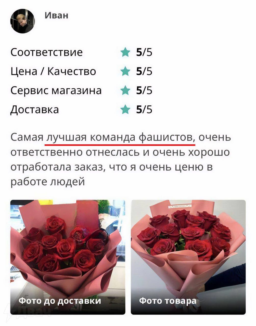 Иван
Соответствие 5/5
Цена / Качество 5/5
Сервис магазина 5/5
Доставка 5/5
Самая лучшая команда фашистов, очень ответственно отнеслась и очень хорошо отработала заказ, что я очень ценю в работе людей