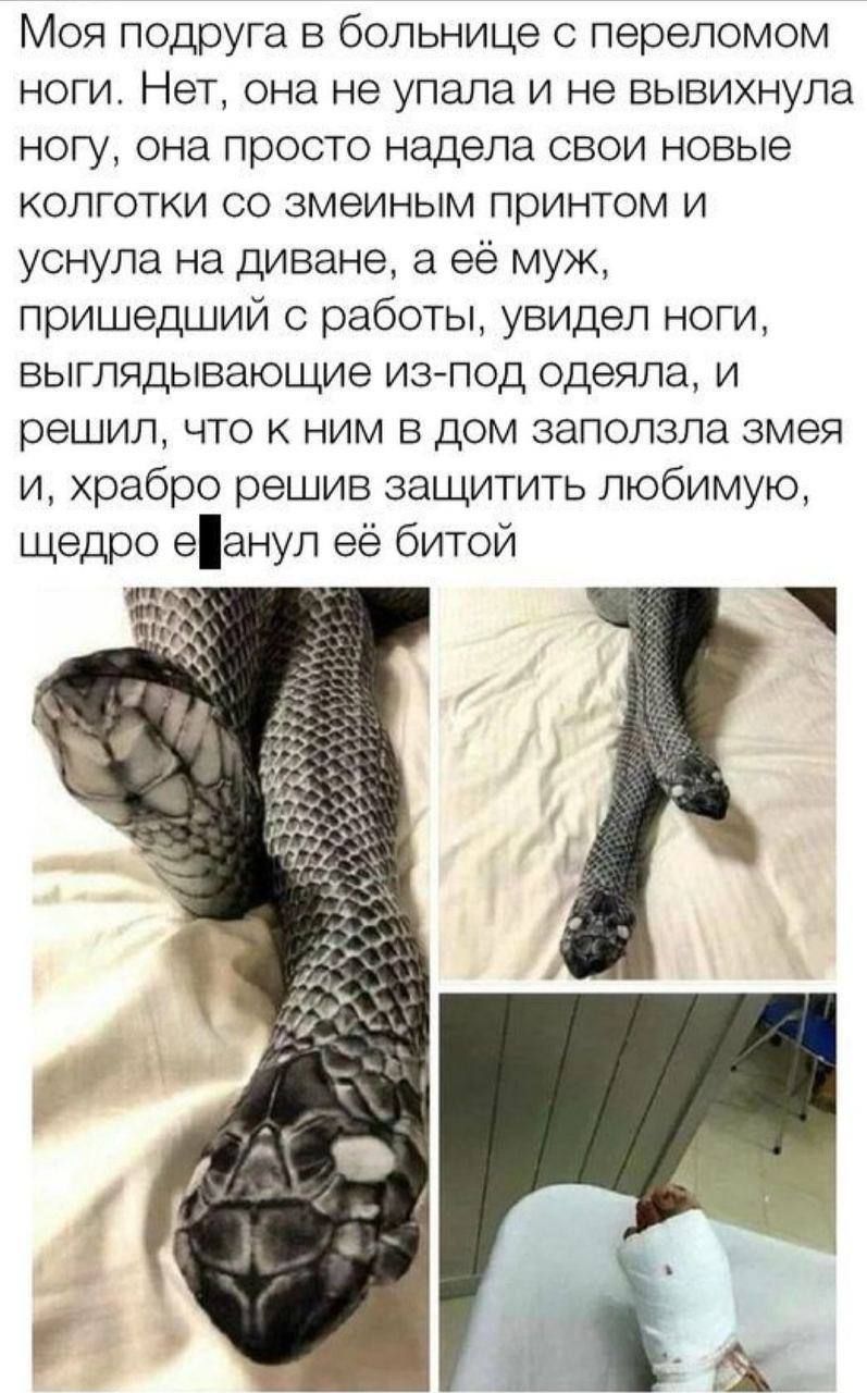 Моя подруга в больнице с переломом ноги. Нет, она не упала и не вывихнула ногу, она просто надела свои новые колготки со змеиным принтом и уснула на диване, а её муж, пришедший с работы, увидел ноги, выглядывающие из-под одеяла, и решил, что к ним в дом заползла змея и, храбро решив защитить любимую, щедро е