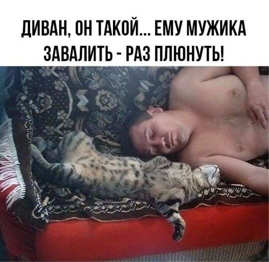 ДИВАН, ОН ТАКОЙ... ЕМУ МУЖИКА ЗАВАЛИТ - РАЗ ПЛЮНУТЬ!