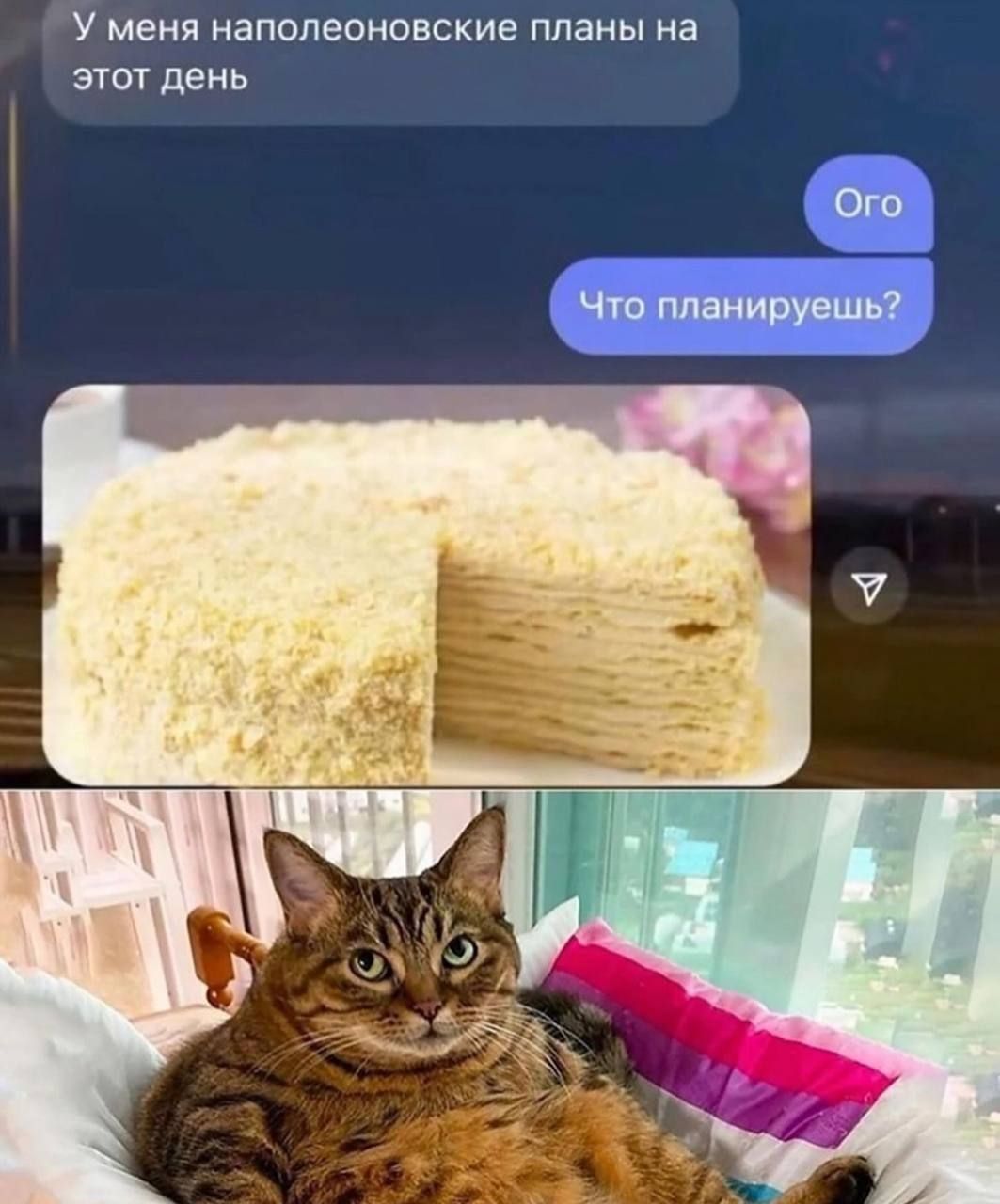 У меня наполеоновские планы на этот день
Ого
Что планируешь?