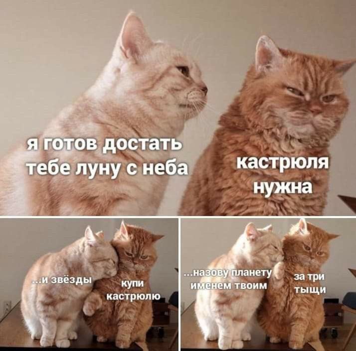 я готов достать тебе луну с неба
кастрюля нужна
...и звезды
купи кастрюлю
...назову планету именем твоим
за три тыщи