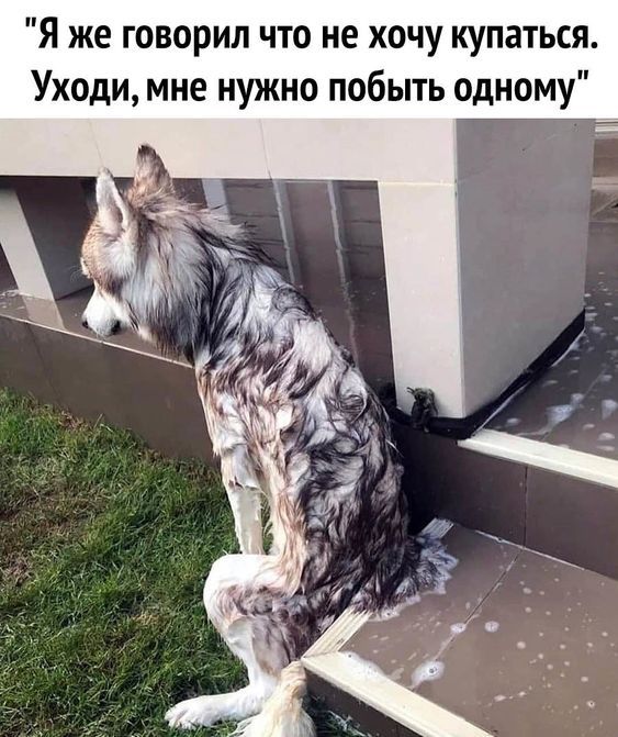 Я же говорил что не хочу купаться. Уходи, мне нужно побыть одному.
