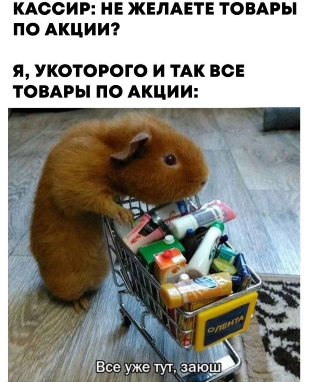 КАССИР: НЕ ЖЕЛАЕТЕ ТОВАРЫ ПО АКЦИИ?
Я, УКОТОРОГО И ТАК ВСЕ ТОВАРЫ ПО АКЦИИ:
Все уже тут, заюш