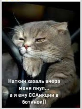 Наткин хахаль вчера меня пнул... а я ему ССАнкции в ботинок))