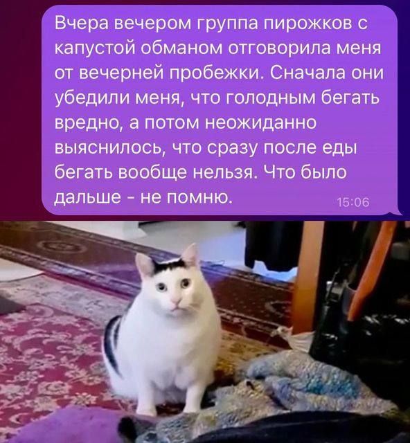 Вчера вечером группа пирожков с капустой обманом отговорила меня от вечерней пробежки. Сначала они убедили меня, что голодным бегать вредно, а потом неожиданно выяснилось, что сразу после еды бегать вообще нельзя. Что было дальше – не помню.
