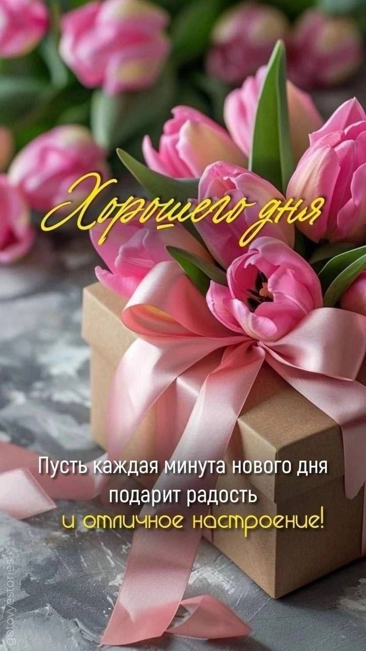 Хорошего дня
Пусть каждая минута нового дня подарит радость и отличное настроение!