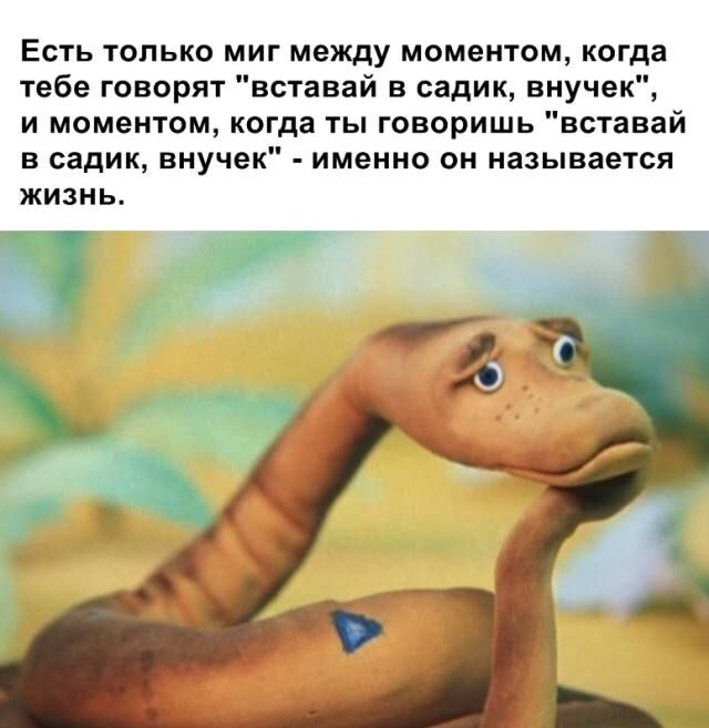 Есть только миг между моментом, когда тебе говорят 