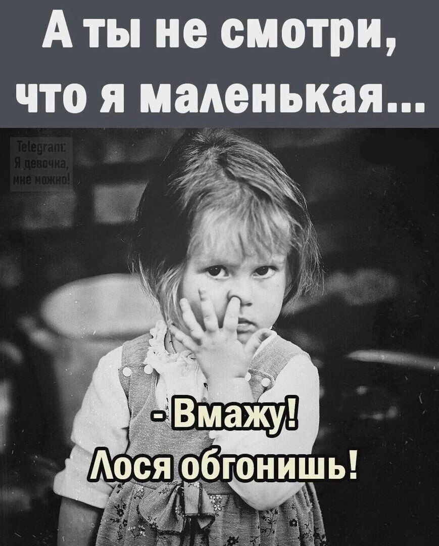 А ты не смотри, что я маленькая...
- Вмажу! Лося обгонишь!