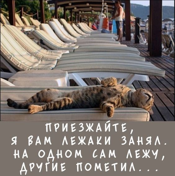 ПРИЕЗЖАЙТЕ, Я ВАМ ЛЕЖАКИ ЗАНЯЛ. НА ОДНОМ САМ ЛЕЖУ, ДРУГИЕ ПОМЕТИЛ...