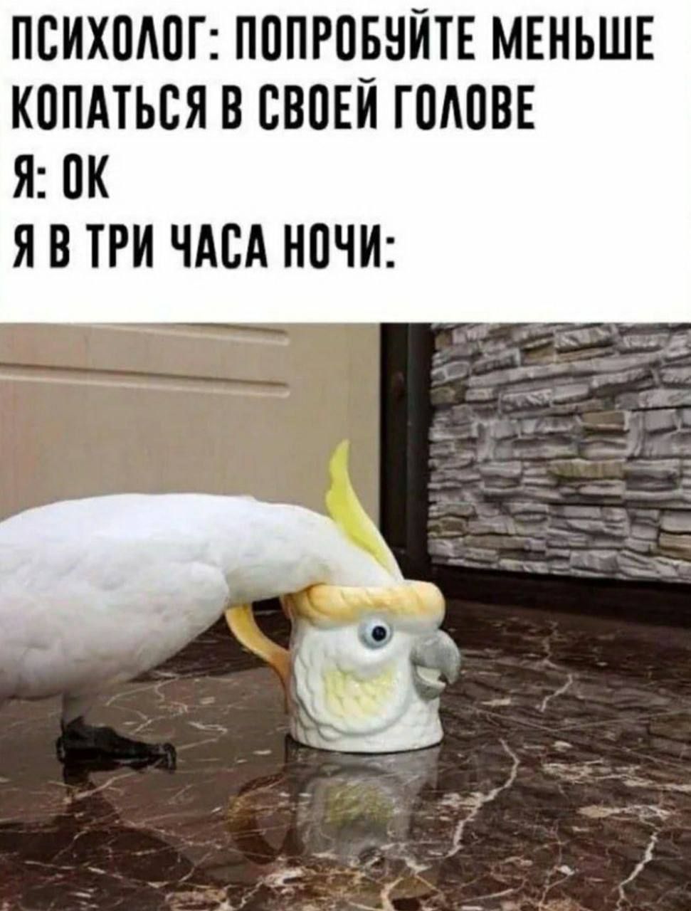 ПСИХОЛОГ: ПОПРОБУЙТЕ МЕНЬШЕ КОПАТЬСЯ В СВОЕЙ ГОЛОВЕ
Я: OK
Я В ТРИ ЧАСА НОЧИ: