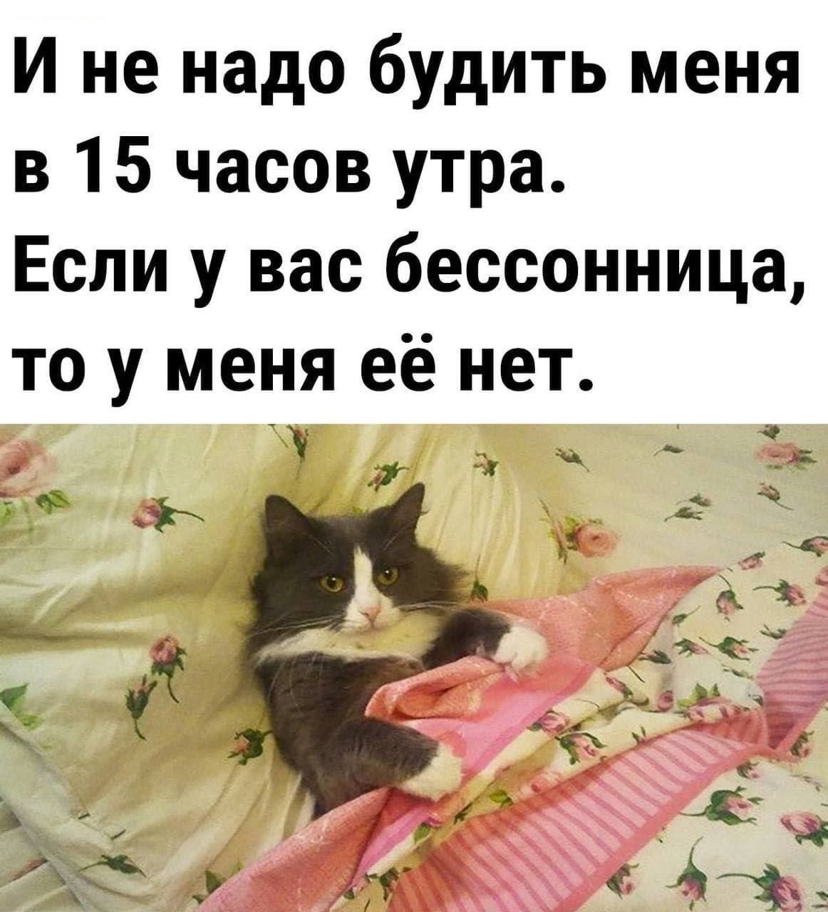 И не надо будить меня в 15 часов утра. Если у вас бессонница, то у меня её нет.