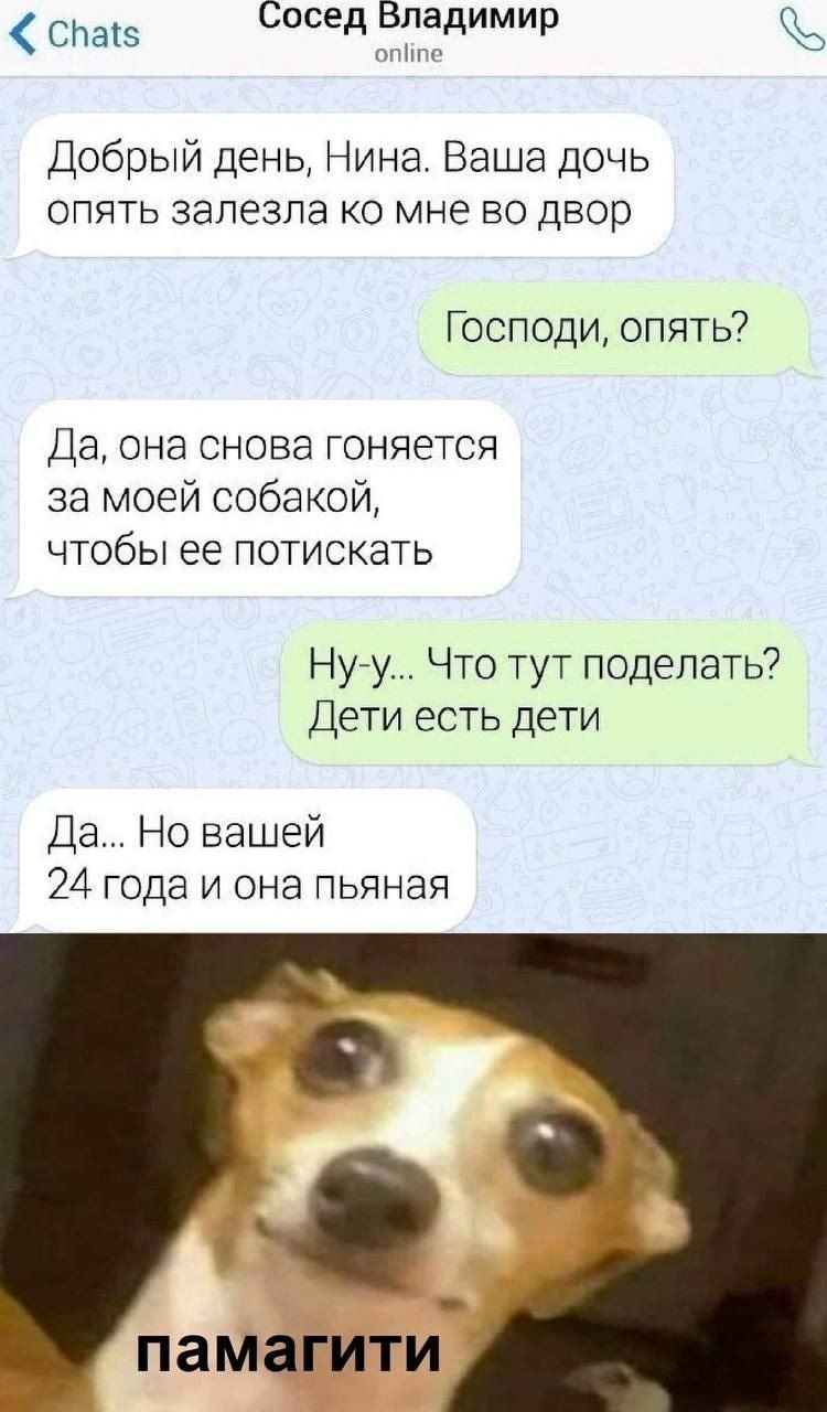 Добрый день, Нина. Ваша дочь опять залезла ко мне во двор
Господи, опять?
Да, она снова гоняется за моей собачкой, чтобы её потискать
Ну-y... Что тут поделать? Дети есть дети
Да... Но вашей 24 года и она пьяная
памагити