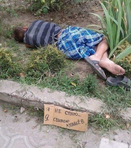 Я не сплю... Я жду мУравьев.