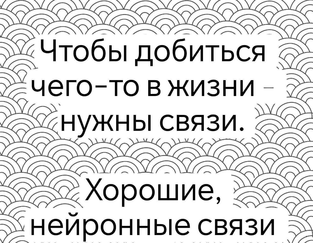 Чтобы добиться чего-то в жизни – нужны связи.
Хорошие, нейронные связи