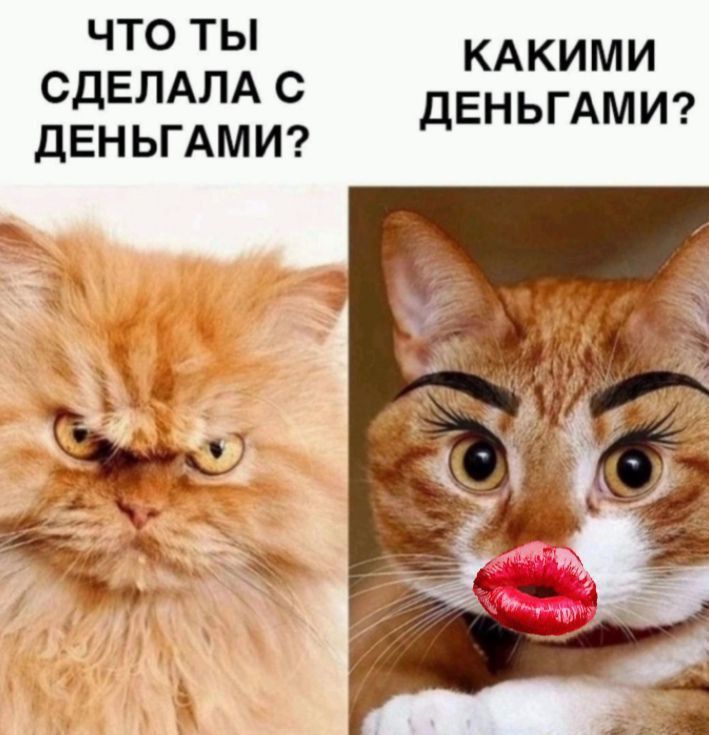 ЧТО ТЫ СДЕЛАЛА С ДЕНЬГАМИ? ТО КАКИМИ ДЕНЬГАМИ?