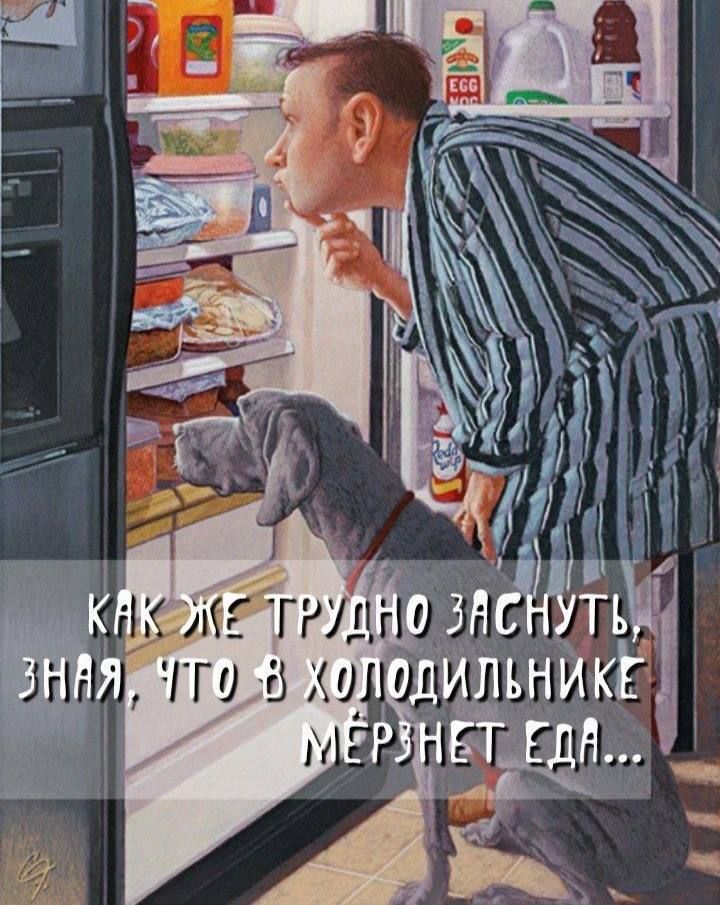 КАК ЖЕ ТРУДНО ЗАСНУТЬ, ЗНАЯ, ЧТО В ХОЛОДИЛЬНИКЕ МЁРЗНЕТ ЕДА...