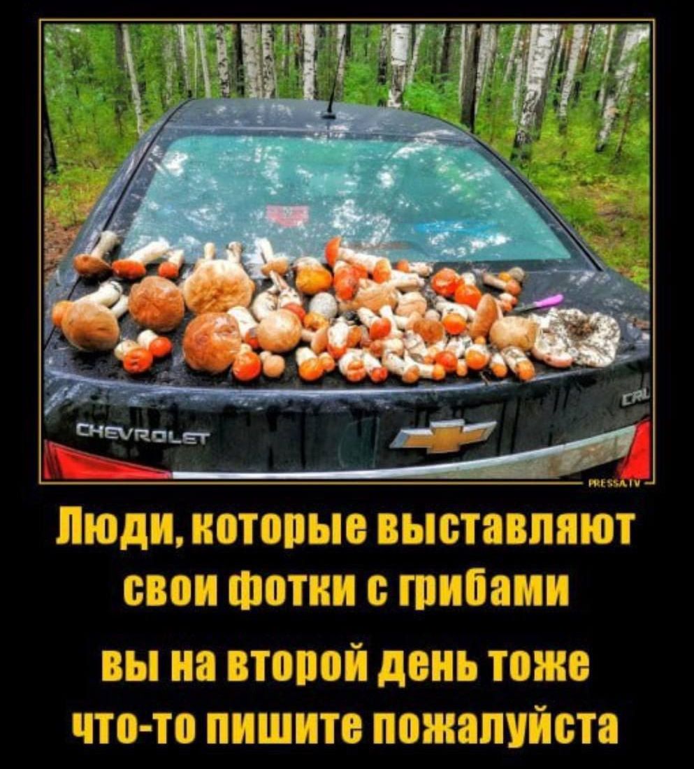 Люди, которые выставляют свои фотки с грибами вы на второй день тоже что-то пишите пожалуйста