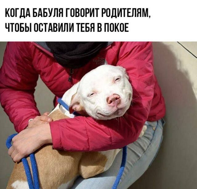 КОГДА БАБУЛЯ ГОВОРИТ РОДИТЕЛЯМ, ЧТОБЫ ОСТАВИЛИ ТЕБЯ В ПОКое