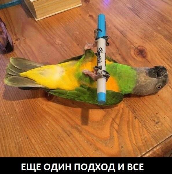 ЕЩЕ ОДИН ПОДХОД И ВСЕ