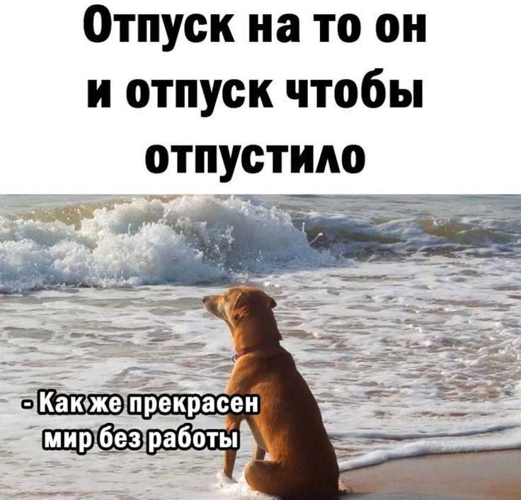 Отпуск на то он и отпуск чтобы отпустило
- Как же прекрасен мир без работы
