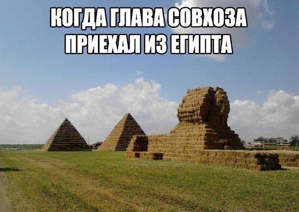 КОГДА ГЛАВА СОВХОЗА ПРИЕХАЛ ИЗ ЕГИПТА