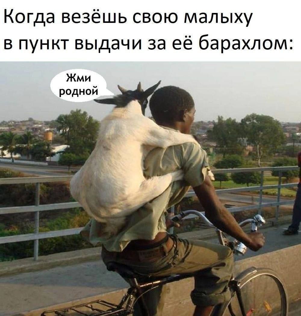 Когда везёшь свою маленькую в пункт выдачи за её барахлом:
Жми, родной