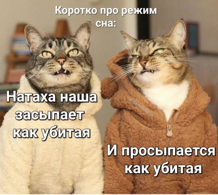 Коротко про режим сна:
Наташа наша засыпает как убитая
И просыпается как убитая