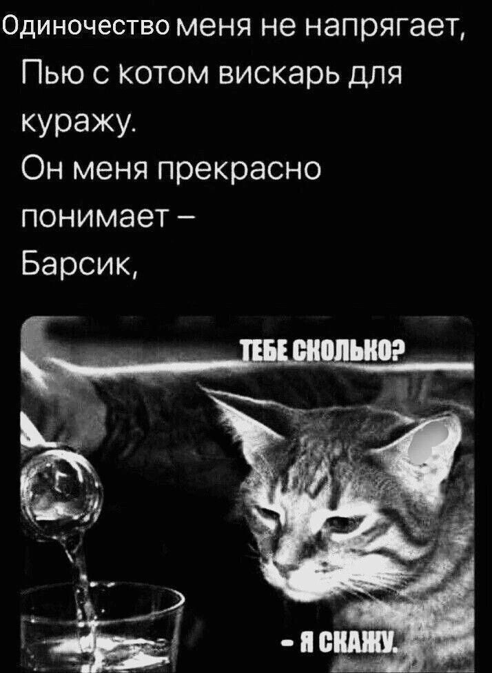 Одиночество меня не напрягает,
Пью с котом вискарь для куряжу.
Он меня прекрасно понимает –
Барсик,
ТЕБЕ СКОЛЬКО?
- Я СКАЖУ.