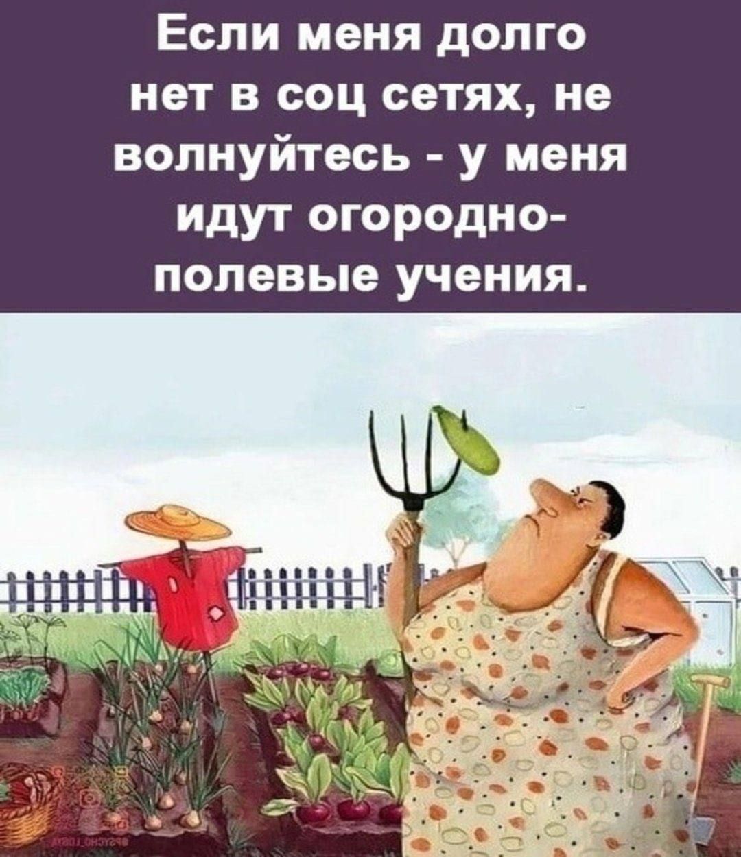 Если меня долго нет в соц сетях, не волнуйтесь - у меня идут огородно-полевые учения.