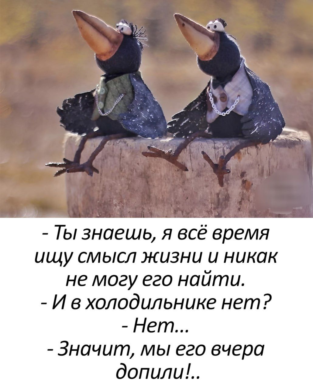 - Ты знаешь, я всё время ищу смысл жизни и никак не могу его найти.
- И в холодильнике нет?
- Нет...
- Значит, мы его вчера допили!