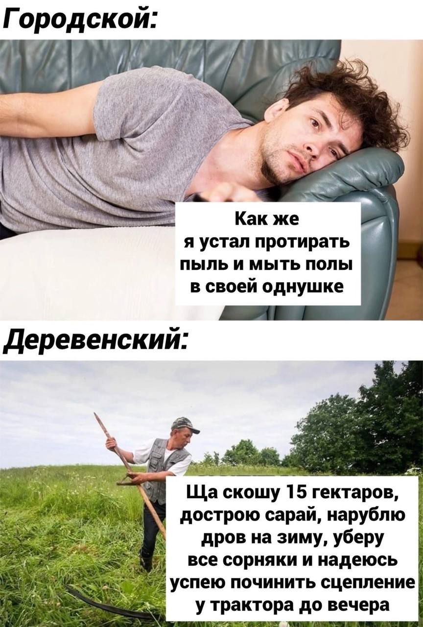Как же я устал протирать пыль и мыть полы в своей однушке
Ща скошю 15 гектаров, дострою сарай, нарублю дров на зиму, уберу все сорняки и надеюсь успею починить сцепление у трактора до вечера