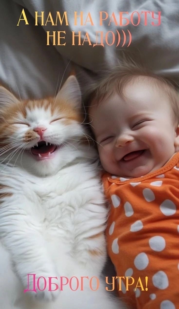 А НАМ НА РАБОТУ НЕ НАДО))) Доброе утро!
