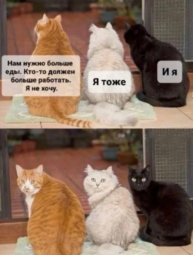 Нам нужно больше еды. Кто-то должен больше работать. Я не хочу.
Я тоже
И я