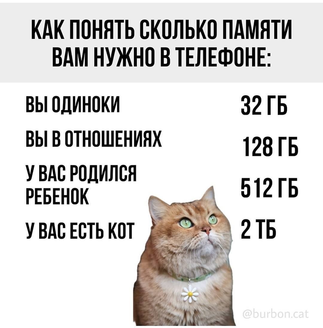 КАК ПОНИЯТЬ СКОЛЬКО ПАМЯТИ ВАМ НУЖНО В ТЕЛЕФОНЕ:

ВЫ ОДИНОКИ  32 ГБ
ВЫ В ОТНОШЕНИЯХ  128 ГБ
У ВАС РОДИЛСЯ РЕБЕНОК  512 ГБ
У ВАС ЕСТЬ КОТ  2 ТБ