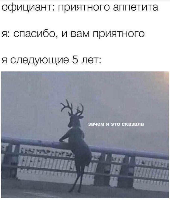 официант: приятного аппетита
я: спасибо, и вам приятного
я следующие 5 лет:
зачем я это сказала