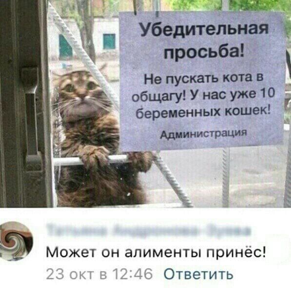Убедительная просьба!
Не пускать кота в общагу! У нас уже 10 беременных кошек!
Администрация

Может он алименты принесёшь!