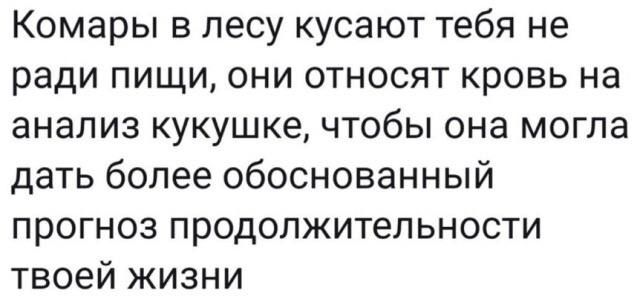 Комары в лесу кусают тебя не ради пищи, они относят кровь на анализ кукушке, чтобы она могла дать более обоснованный прогноз продолжительности твоей жизни