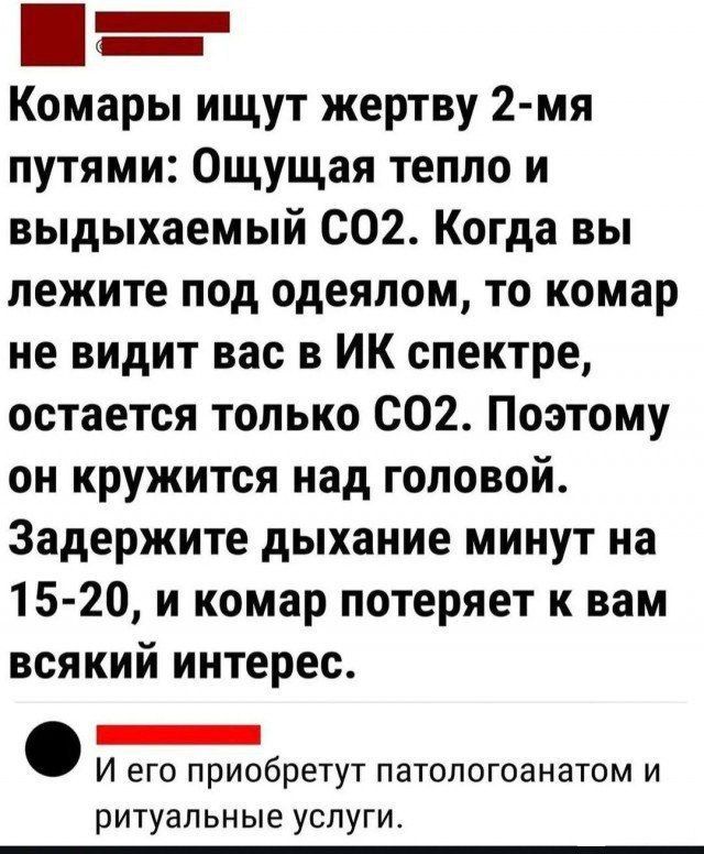 Комары ищут жертву 2-мя путями: Ощущая тепло и выдыхаемый CO2. Когда вы лежите под одеялом, то комар не видит вас в ИК спектре, остается только CO2. Поэтому он кружится над головой. Задержите дыхание минут на 15-20, и комар потеряет к вам всякий интерес.

И его приобретут патологоганатом и ритуальные услуги.