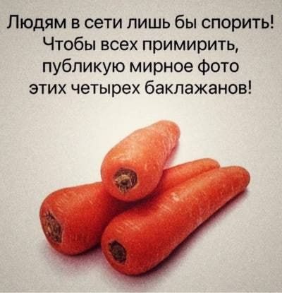 Людям в сети лишь бы спорить! Чтобы всех примирить, публикую мирное фото этих четырех баклажанов!