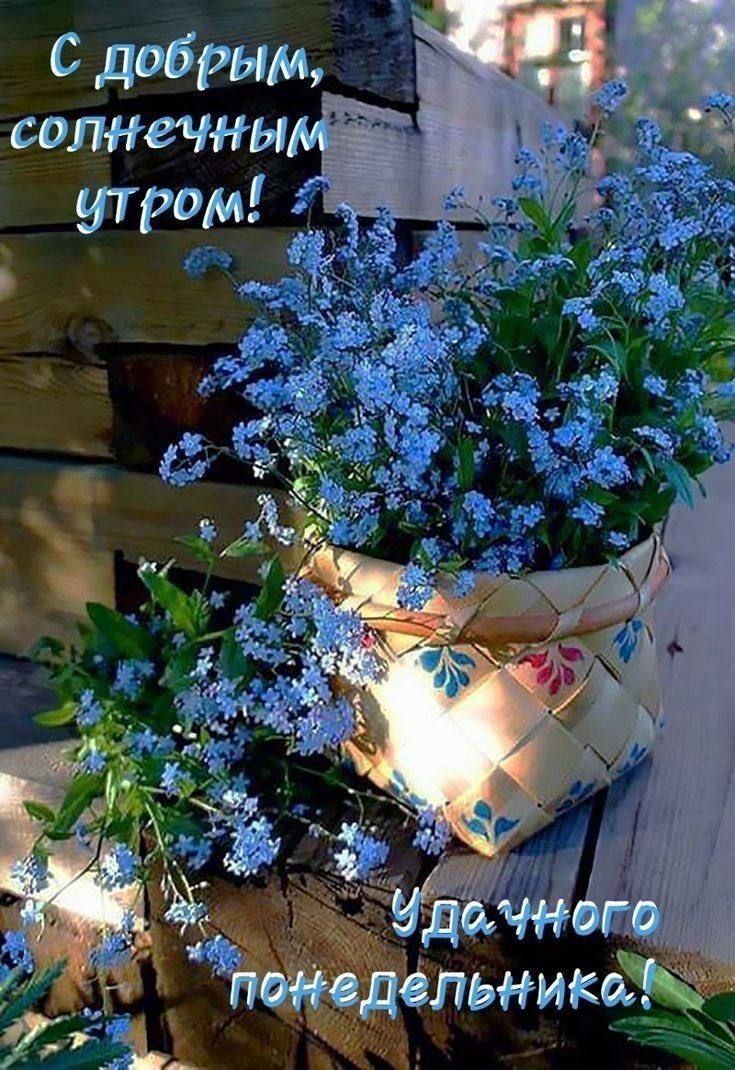 С добрым, солнечным утром! Удачного понедельника!