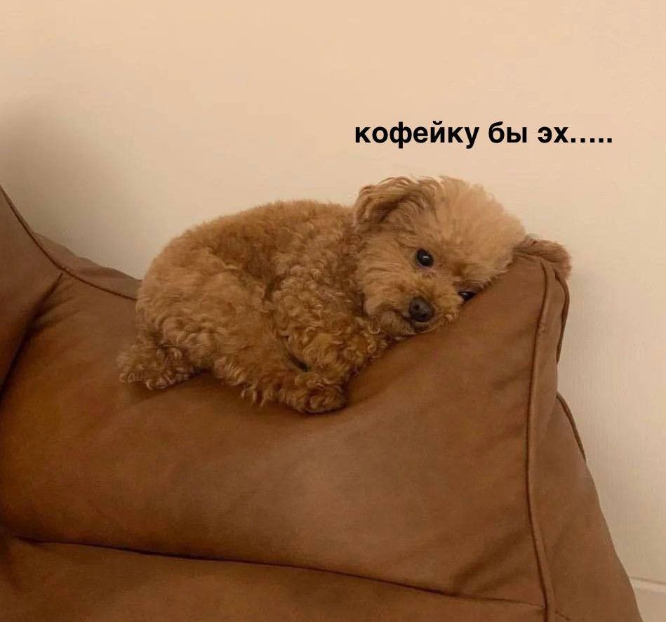 кофейку бы эх.....